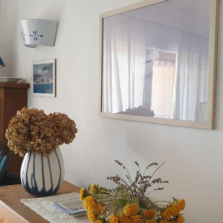 Residenze Coda Cavallo ซาน เตโอโดโร ภายนอก รูปภาพ