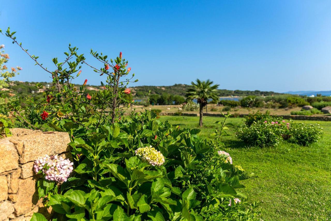 Residenze Coda Cavallo ซาน เตโอโดโร ภายนอก รูปภาพ
