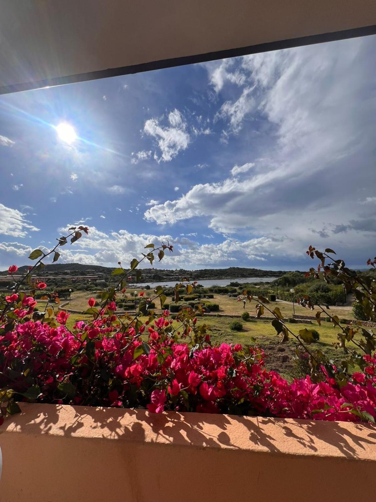 Residenze Coda Cavallo ซาน เตโอโดโร ภายนอก รูปภาพ